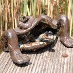 Fliegenschnapper 2010