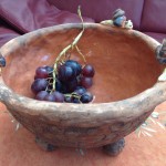 Schneckenschale 2016