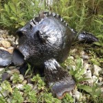 Quastenflossler 2017